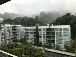 The Raintree (D21), Condominium #531072391